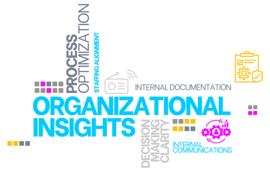 ORGANIZATIONAL INSIGHTS WORD CLOUD 2